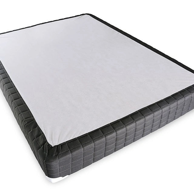 Grey Foundation, 2CTN