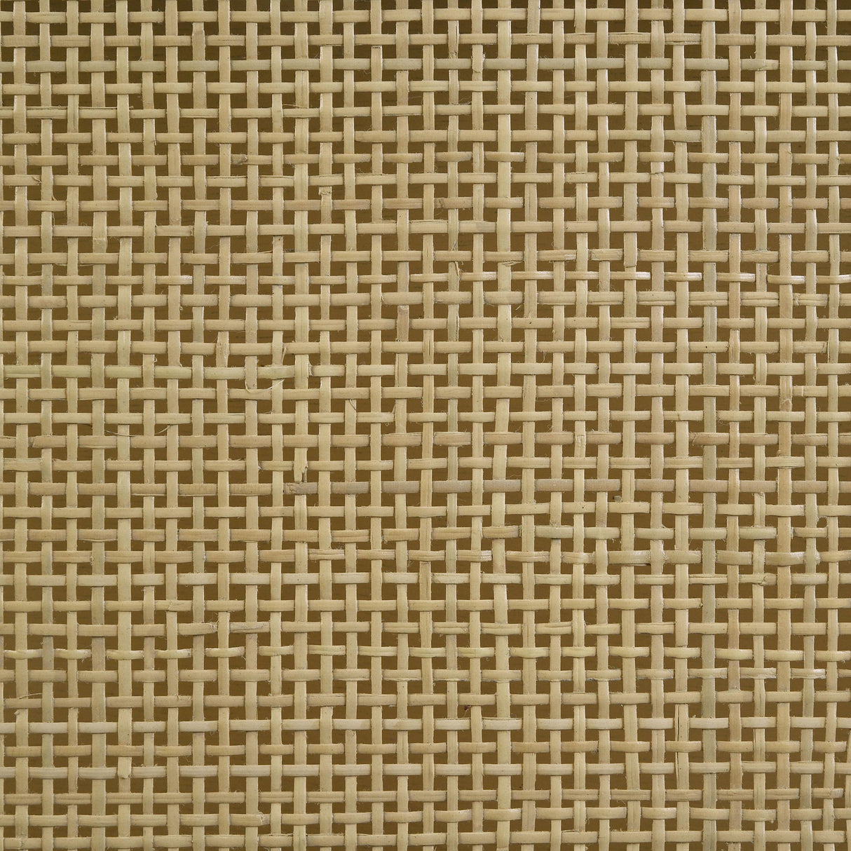 Arini Panel Bed