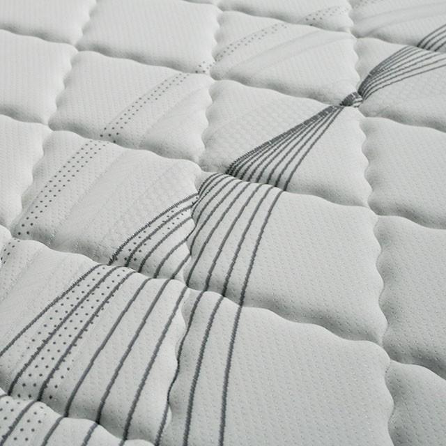 Edrea 10 Tight Top Pocket Coil
