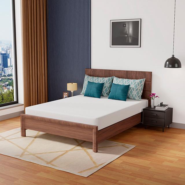 Coreopsis 8" Memory Foam Wave Comfort