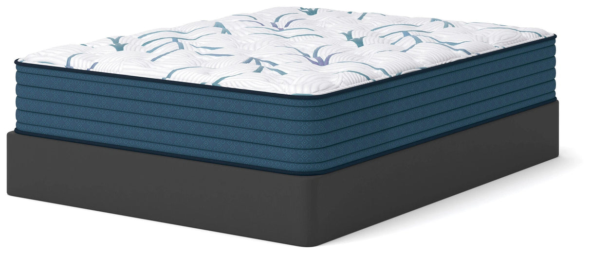 Limited Edition Plush 3.0 Mattress