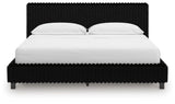 Zuraleus Bed