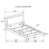 Felicity Panel Bed with LED Lighting