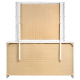 Felicity Dresser with Mirror