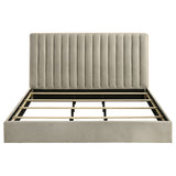 Arielle Bookcase Bed