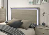Rainier Bed Gray