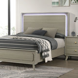 Rainier Bed Gray