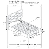 Soledad Panel Platform Storage Bed