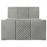 Tara Panel TV Bed
