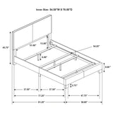 Dorian Panel Bed