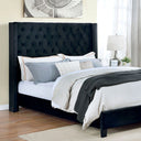 Ryleigh Bed Black, Grey, & Navy