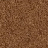 Carianna Sofa Sleeper