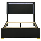 Marceline Panel Bed with LED Lighting