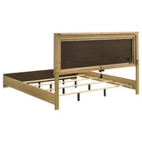 Hyland Panel Bed with LED Lighting