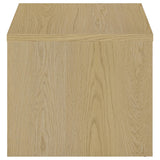 Canoga End Table