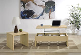 Canoga End Table