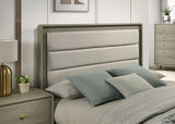 Rainier Bed