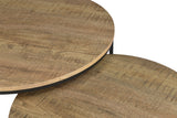 Lainey Nesting Coffee Table
