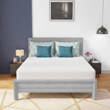 Coreopsis 10" Memory Foam Wave Comfort
