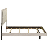 Trenton Panel Bed