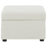 Winter Storage Ottoman
