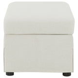 Winter Storage Ottoman