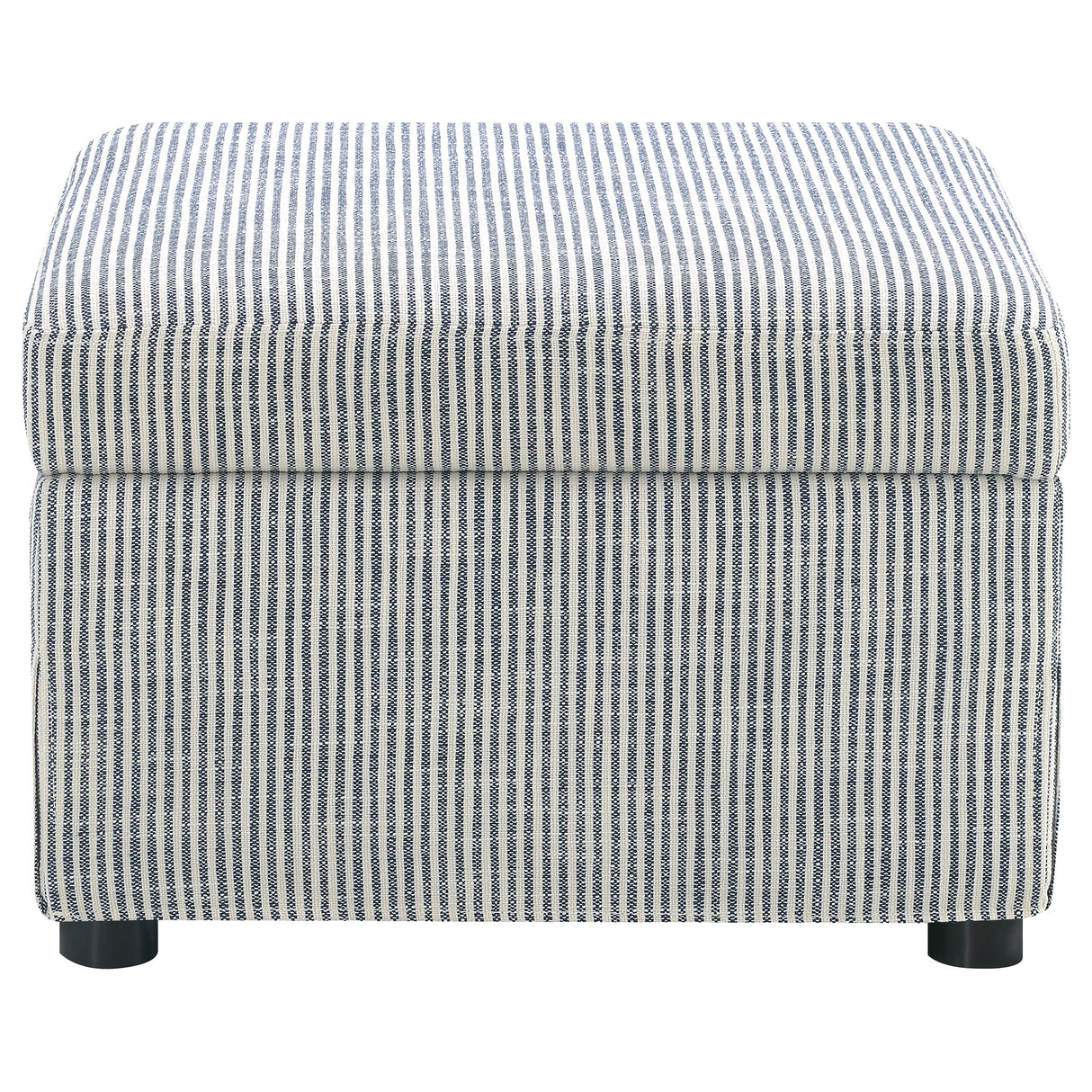Winter Storage Ottoman
