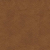 Carianna Loveseat