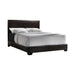 Conner Twin Upholstered Panel Bed Dark Brown - M&M Furniture (CA)