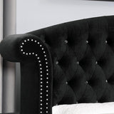Zohar Bed Black & Pink