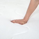 Catmint 12" Queen Innerspring Mattress