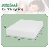 Coreopsis 12" Full Memory Foam Wave Comfort