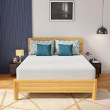 Coreopsis 12" Queen Memory Foam Wave Comfort