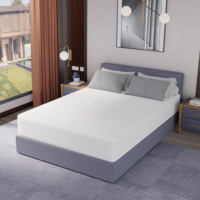 Forsythia 12" Green Tea Gel Memory Foam