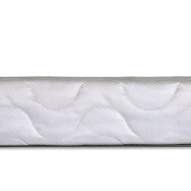 Bird Of Paradise 4"-Size Foundation