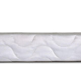 Bird Of Paradise 4"-Size Foundation