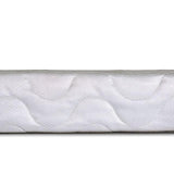 Bird Of Paradise 4"-Size Foundation