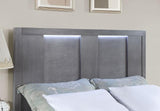 REGULUS Cal.King, E.King, & Queen Bed