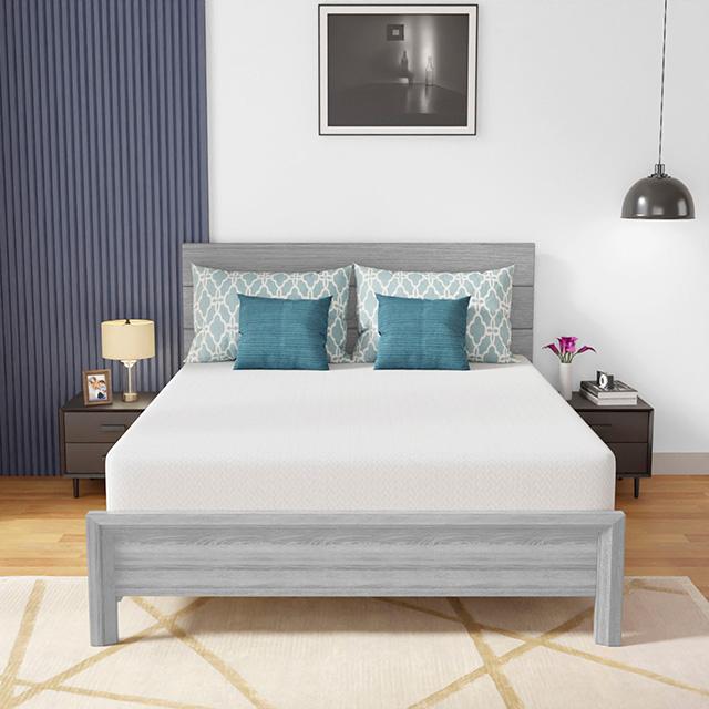 Coreopsis 10" Memory Foam Wave Comfort