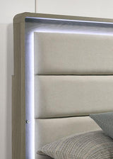 Rainier Bed