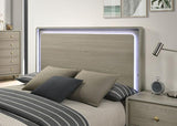 Rainier Bed Gray