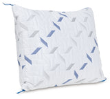 Nectar Classic / Pillow
