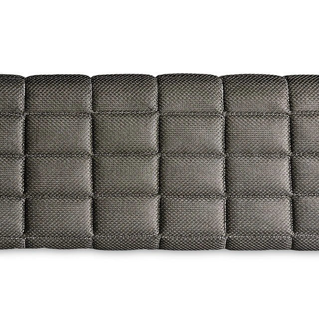 Grey Foundation, 2CTN