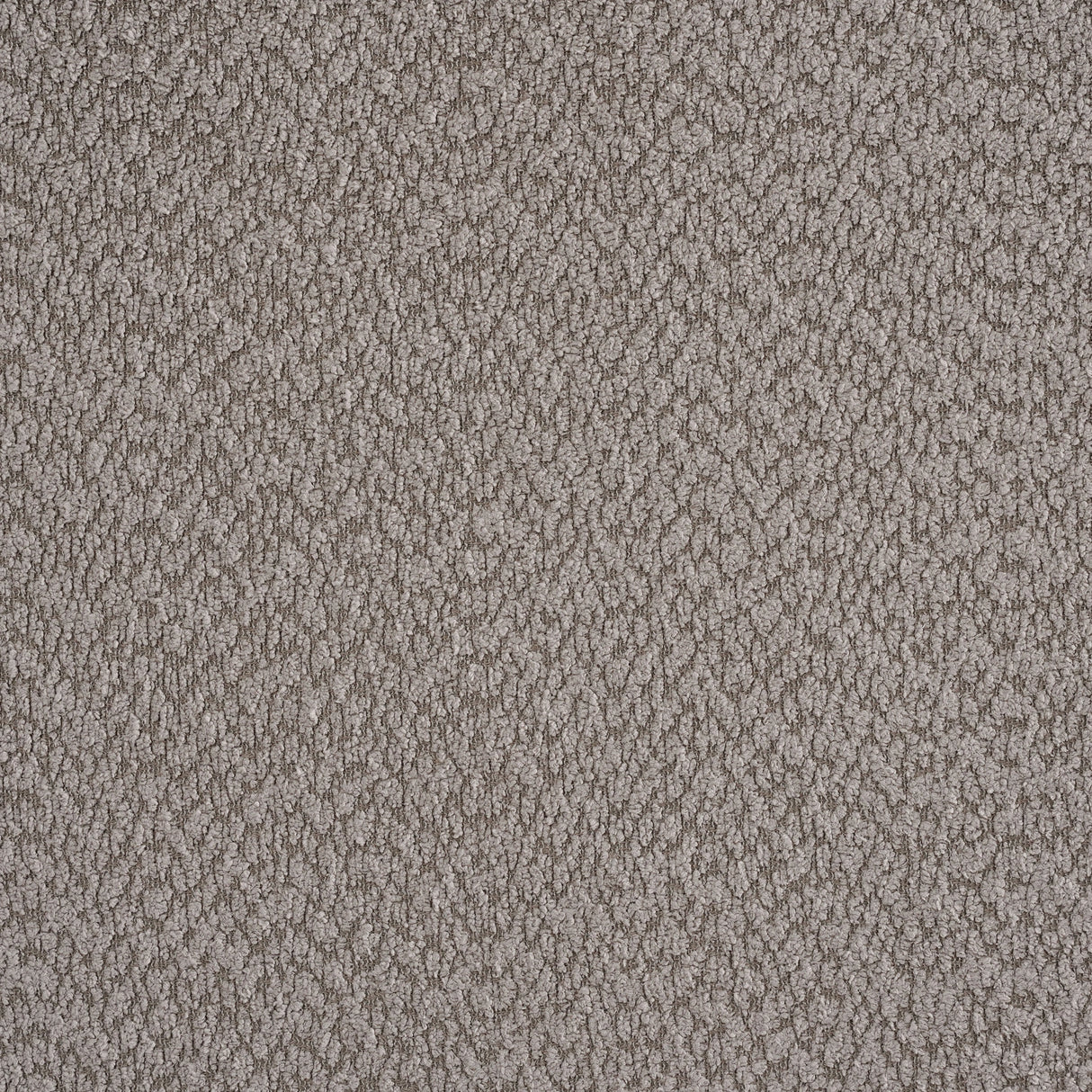 Catkin Bedroom