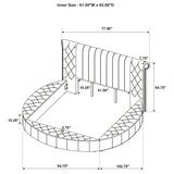 Sonya Panel Floor Storage Bed