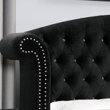 Zohar Bed Black & Pink