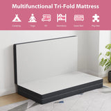 Hollyhock 4" Tri-Fold Memory Foam Topper
