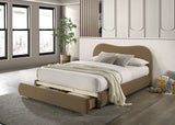 Grimsby Bed