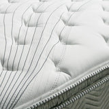 STORMIN White/Gray 13" Euro Pillow Top Mattress