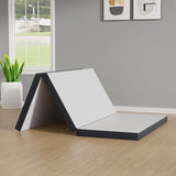 Hollyhock 3" Queen Tri-Fold Memory Foam Topper